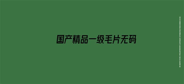 >国产精品一级毛片无码软件横幅海报图