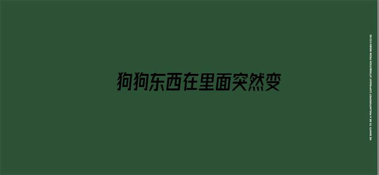 >狗狗东西在里面突然变大了横幅海报图